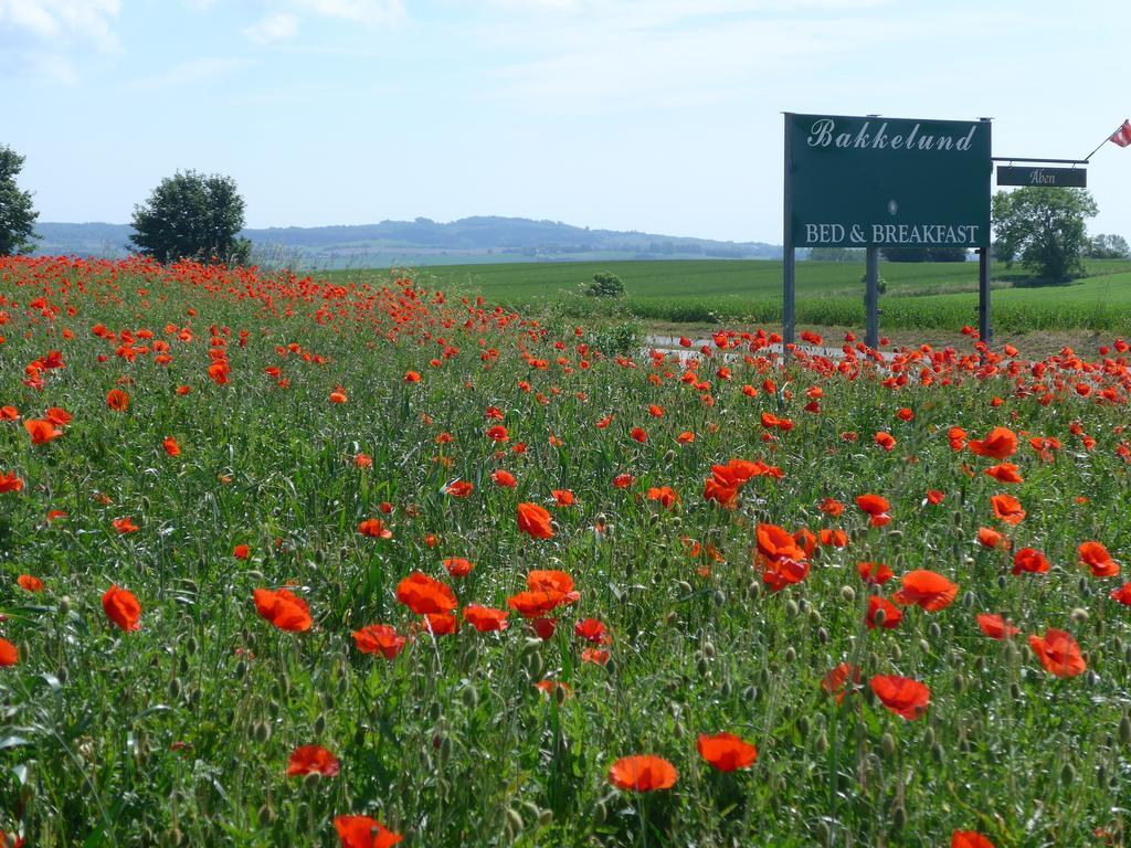 Bakkelund Bed & Breakfast Borre Kültér fotó